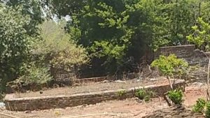 रंगमंच 