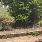 पसान शासकीय रंगमंच