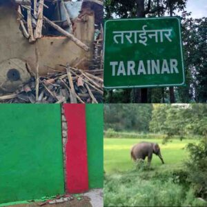 पसान के तरई नार और पिपरहा गांव में हाथियों के उत्पात से क्षतिग्रस्त मकान