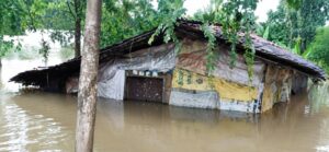 Mahanadi Flood Pusour Sariya