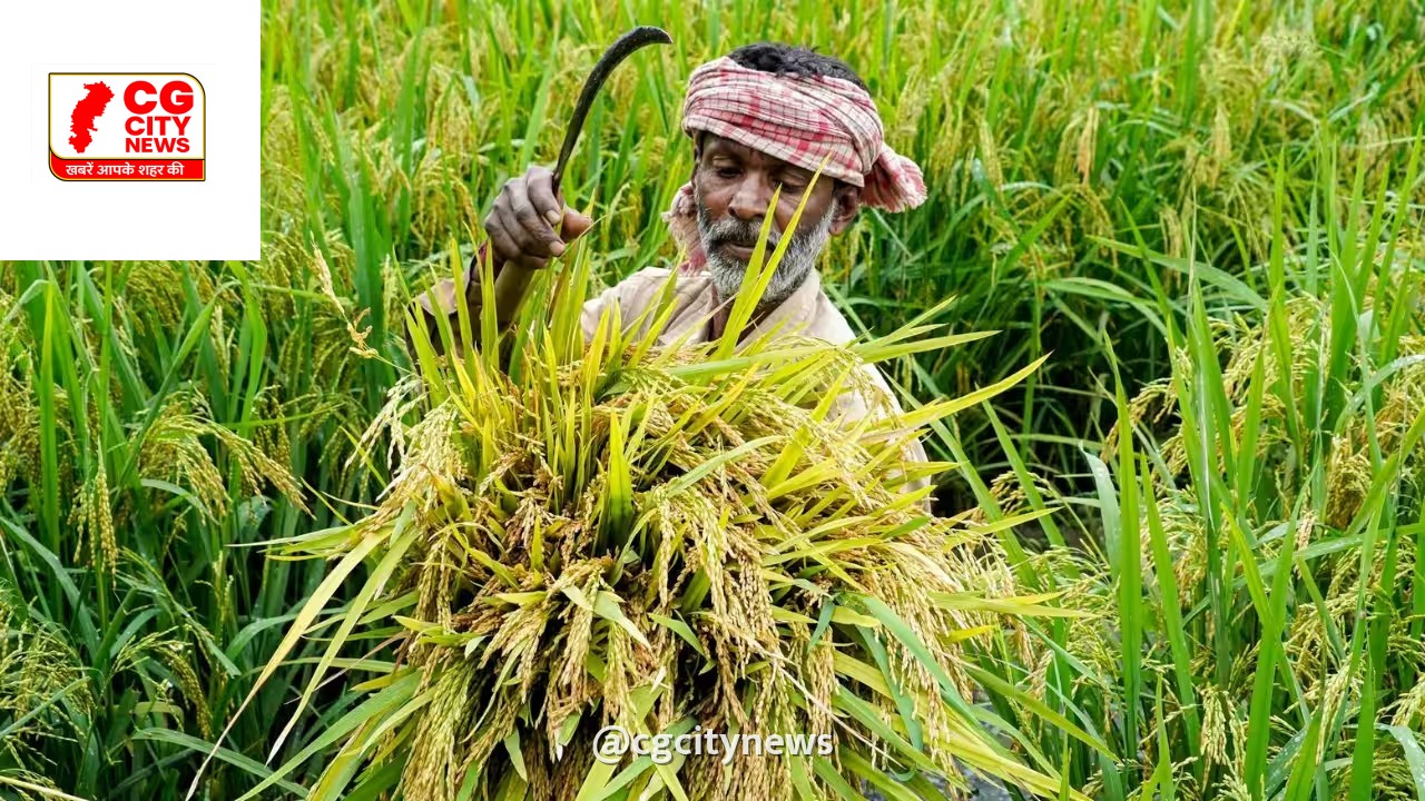 रबी फसलों को सूखे के संकट से बचाने के लिए केंद्र सरकार ने कसी कमर