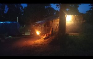 धान की फसल, किसान, रातजगा