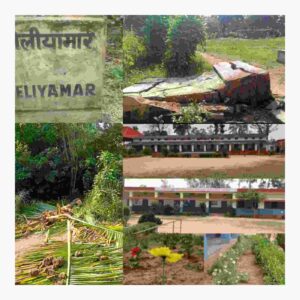 पसान के तेलियामार मिशन स्कूल की बाउंड्री तोड़कर परिसर में घुसे हाथी